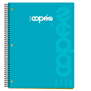 Notebook paper COPAN for 2 classes