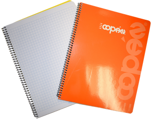 Notebook Paper COPAN Small Grid (graph) #2