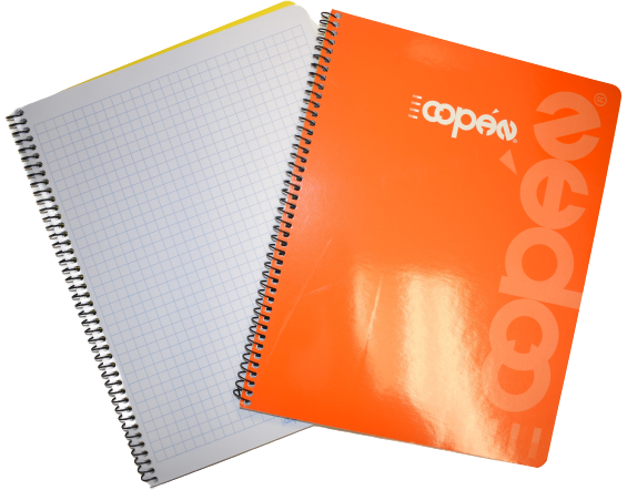 Notebook Paper COPAN Small Grid (graph) #2