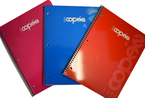 Notebook Paper Copan Small #2 BASIC