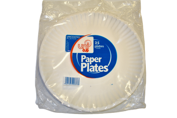 Paper Plate Disposable - 1 Unit
